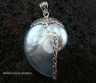 925 Silver Grey Nautilus Shell Pendant SP-401-KT