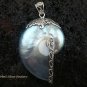 925 Silver Grey Nautilus Shell Pendant SP-401-KT
