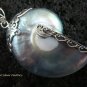 925 Silver Grey Nautilus Shell Pendant SP-401-KT