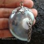 925 Silver Grey Nautilus Shell Pendant SP-401-KT