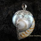925 Silver Nautilus Shell Pendant SP-365-KT