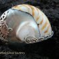 925 Silver Nautilus Shell Pendant SP-365-KT