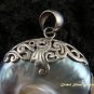Sterling Silver Brown Nautulis Shell Pendant SP-365-KT