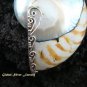 Sterling Silver Brown Nautulis Shell Pendant SP-365-KT