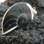 Sterling Silver Brown Nautulis Shell Pendant SP-365-KT