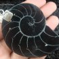 925 Silver White & Black Shell Pendant SP-404-KT