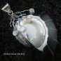 925 Silver White & Black Shell Pendant SP-404-KT