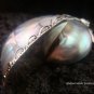 925 Silver Grey Nautilus Shell Pendant SP-403-KT