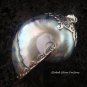 925 Silver Grey Nautilus Shell Pendant SP-403-KT