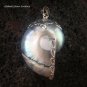 925 Silver Grey Nautilus Shell Pendant SP-403-KT