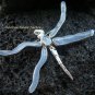 925 Silver & Blue Chalcedony Dragonfly Brooch Pendant BC-146-KT