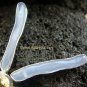 925 Silver & Blue Chalcedony Dragonfly Brooch Pendant BC-145-KT