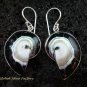 Sterling Silver Black Nautilus Shell Earrings ER-535-KT