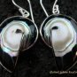 Sterling Silver Black Nautilus Shell Earrings ER-535-KT