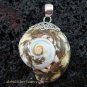 Sterling Silver Shell Pendant SP-460-KT