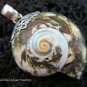 Sterling Silver Shell Pendant SP-460-KT