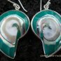 Sterling Silver Blue Nautilus Shell Earrings ER-538-KT