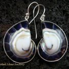 Sterling Silver Purple Nautilus Shell Earrings ER-537-KT