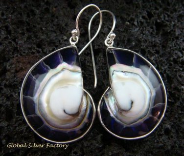 Sterling Silver Purple Nautilus Shell Earrings ER-537-KT