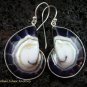 Sterling Silver Purple Nautilus Shell Earrings ER-537-KT