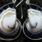 Sterling Silver Purple Nautilus Shell Earrings ER-537-KT