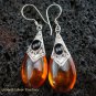 925 Silver Syntethic Amber & Black Onyx Earrings SJ-218-KT