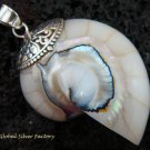 Sterling Silver White Nautilus Shell Pendant SP-459-KT