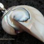 Sterling Silver White Nautilus Shell Pendant SP-459-KT