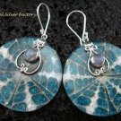 925 Silver Moonstone & Shell Earrings ER-546-KT