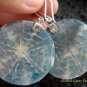 925 Silver Moonstone & Shell Earrings ER-546-KT