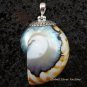 Sterling Silver Nautilus Shell Pendant SP-454-KT