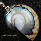 Sterling Silver Nautilus Shell Pendant SP-454-KT