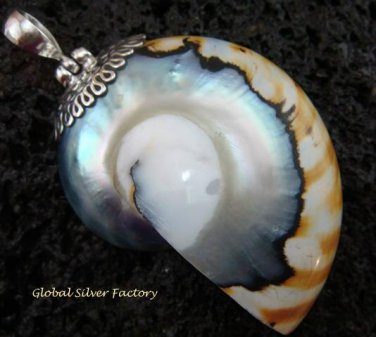 Sterling Silver Nautilus Shell Pendant SP-454-KT