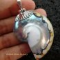 Sterling Silver Nautilus Shell Pendant SP-454-KT