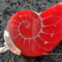 925 Silver Red Nautilus Shell Pendant SP-453-KT