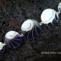 Sterling Silver Purple Shell Bracelet SBB-330-KT