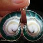 Sterling Silver Green Nautilus Shell Earrings ER-536-KT
