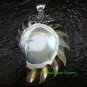 Sterling Silver Natural Brown Nautilus Shell SP-611-KT