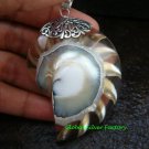 Sterling Silver Natural Brown Nautilus Shell SP-611-KT
