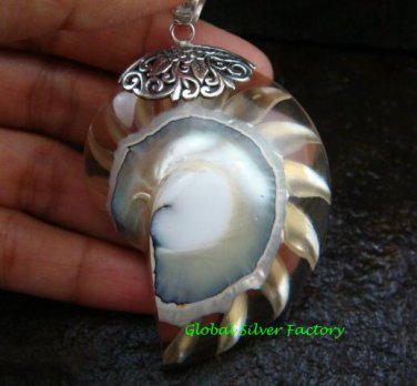 Sterling Silver Natural Brown Nautilus Shell SP-611-KT