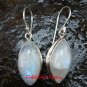 Sterling Silver Rainbow Moonstone Earrings ER-631-KT