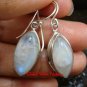 Sterling Silver Rainbow Moonstone Earrings ER-631-KT