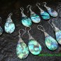 5x Wholesale Silver & Mixed Paua Shell Earrings SSB-327-GSF