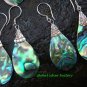 5x Wholesale Silver & Mixed Paua Shell Earrings SSB-327-GSF