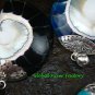 10x Wholesale 925 Silver Nautilus Shell Pendants Assorted Designs SSB-331-GSF
