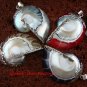 4x Wholesale 925 Silver Natural Nautilus Shell Pendants - Assorted Colour SSB-336-GSF