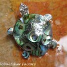 Sterling Silver and Paua Shell Turtle Brooch BC-179-KA