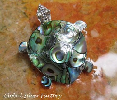 Sterling Silver and Paua Shell Turtle Brooch BC-179-KA