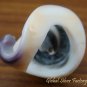 Sterling Silver Turquoise Shell Ring RI-192-KA