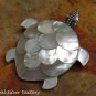 Silver and White Shell Turtle Brooch BC-186-KT